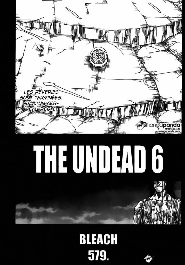 Bleach - 579 - 655152a94f916.webp
