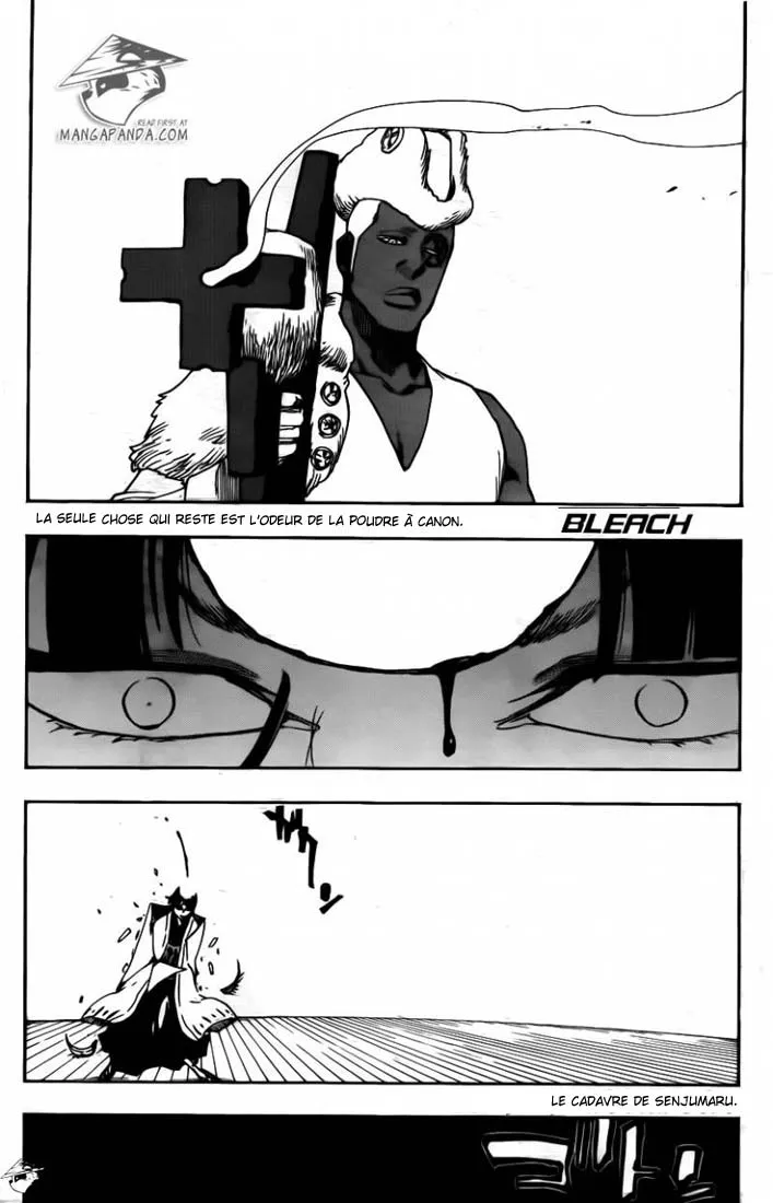 Bleach - 600 - 6551531d52838.webp