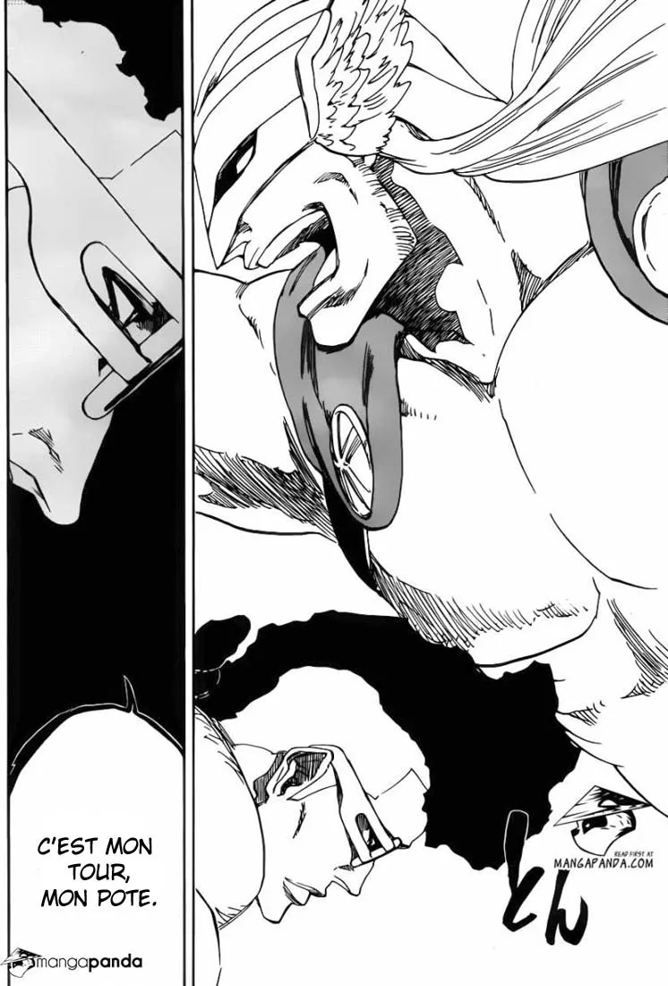 Bleach - 601 - 655153209ebe0.webp