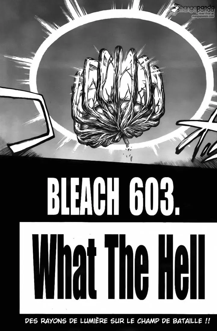 Bleach - 603 - 655153283dc5f.webp