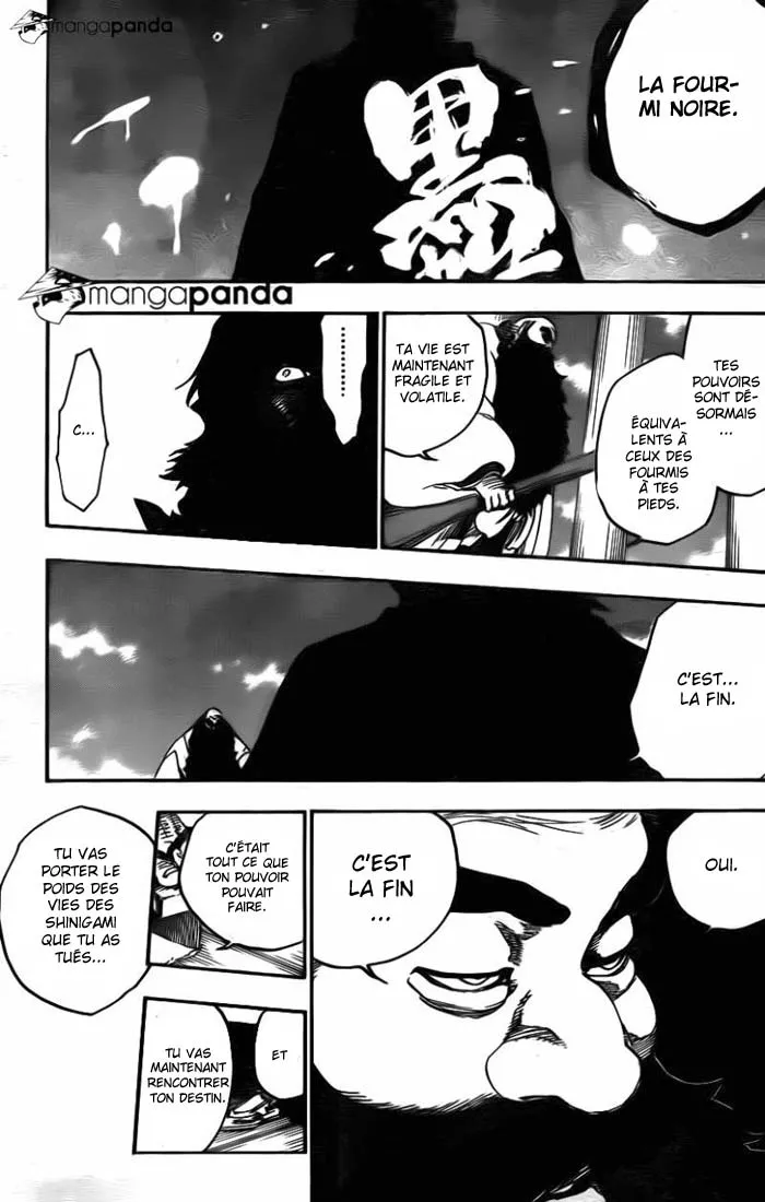 Bleach - 609 - 65515340c0c5b.webp