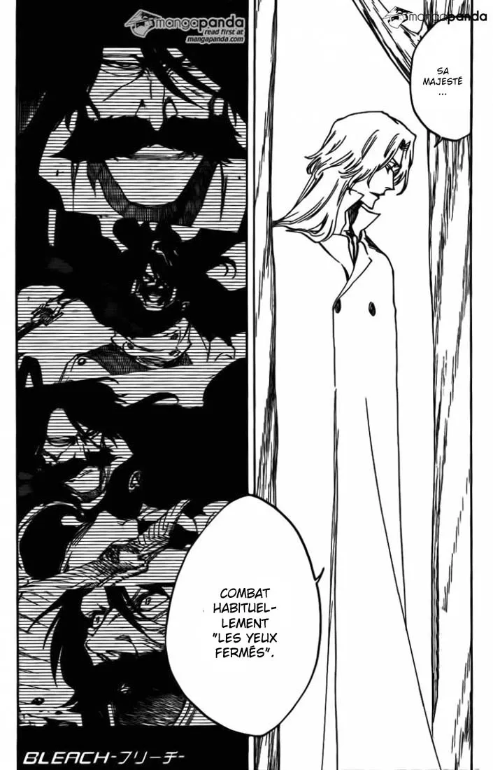 Bleach - 610 - 65515343cd22f.webp