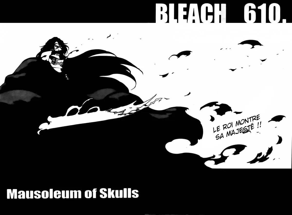 Bleach - 610 - 655153443ed76.webp