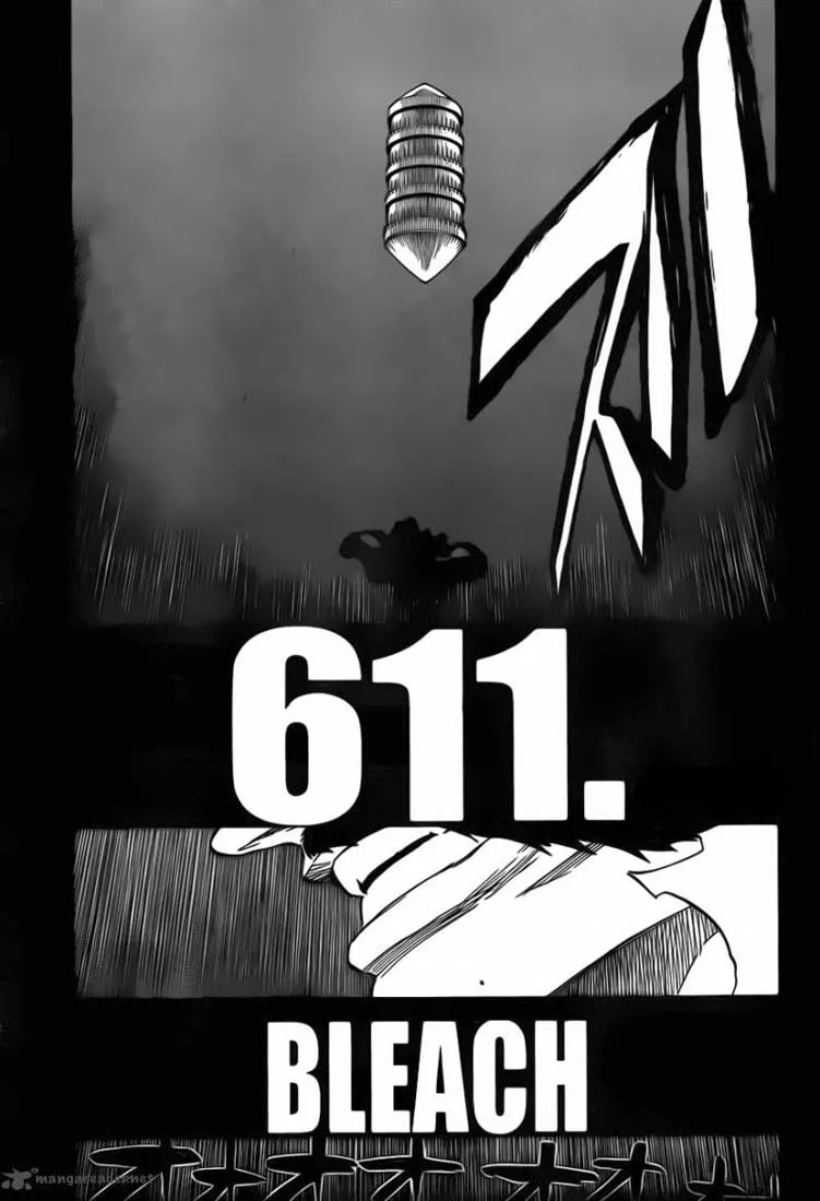 Bleach - 611 - 65515347d3ea2.webp