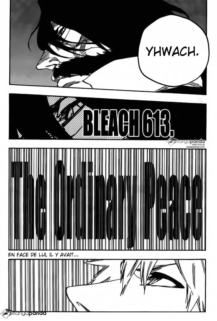 Bleach - 613 - 6551534ebf22f.webp