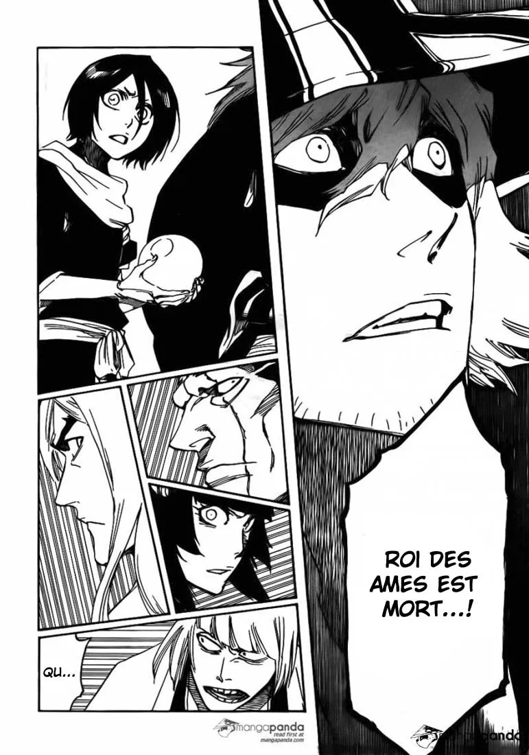 Bleach - 615 - 65515357265a4.webp