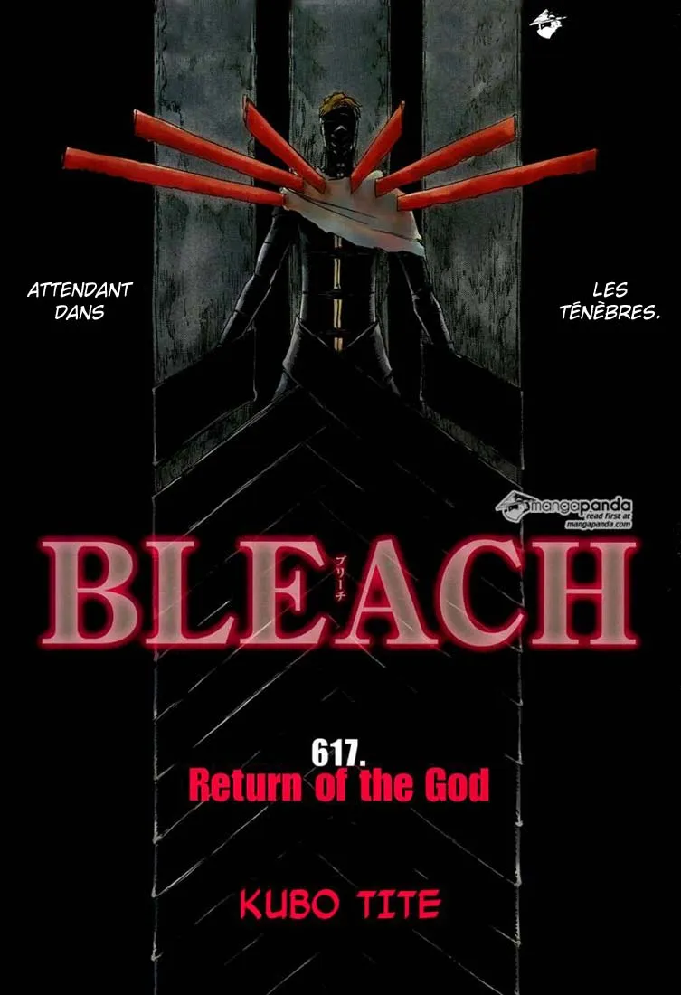 Bleach - 617 - 6551535d0e98e.webp