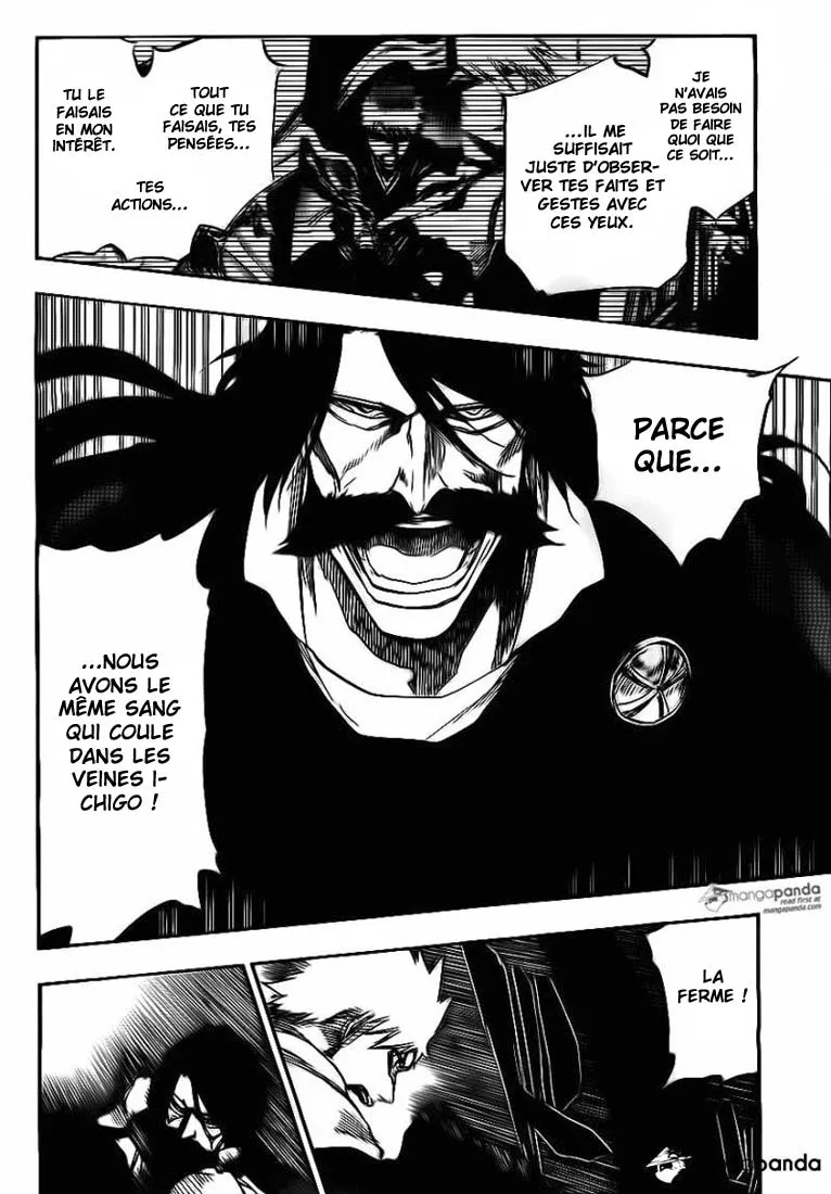 Bleach - 619 - 65515365845db.webp