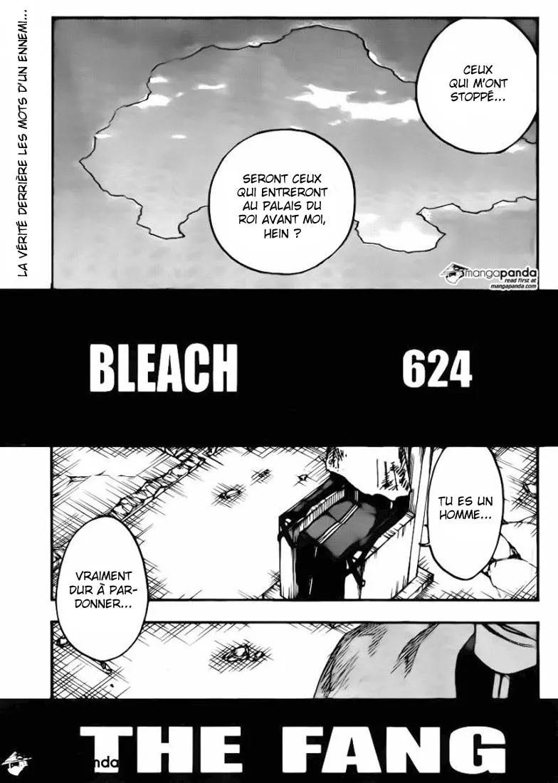 Bleach - 624 - 65515379eb7ba.webp