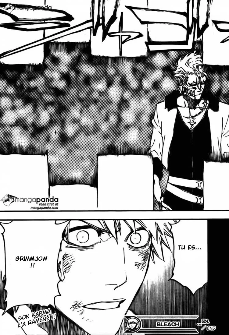 Bleach - 624 - 6551537bc5b15.webp