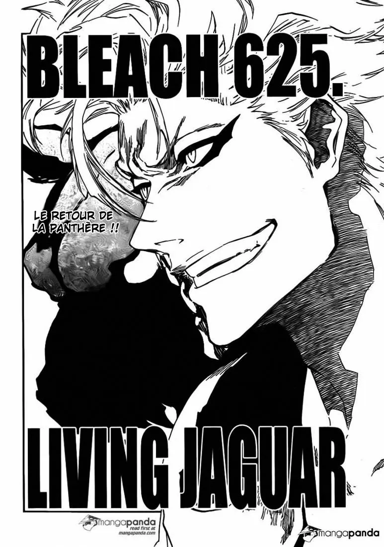 Bleach - 625 - 6551537d5cc28.webp