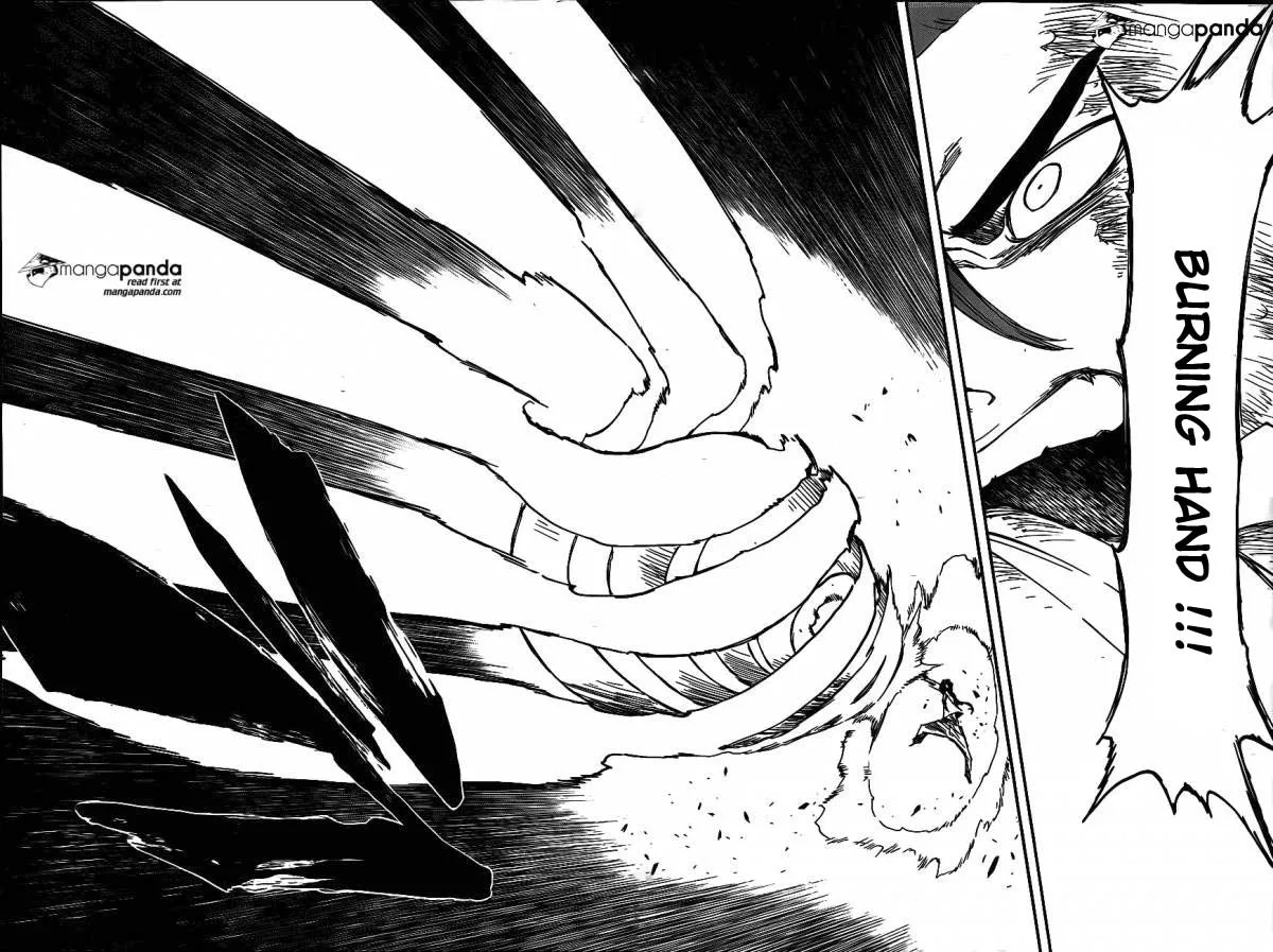 Bleach - 634 - 655153a46a279.webp