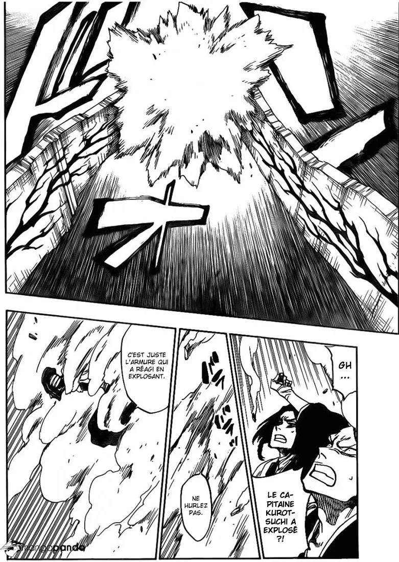 Bleach - 638 - 655153b58dd48.webp