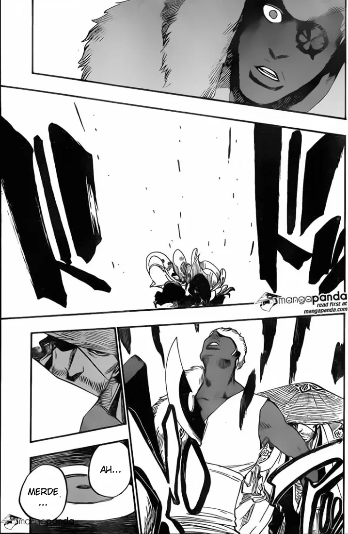Bleach - 646 - 655153dcc54f9.webp