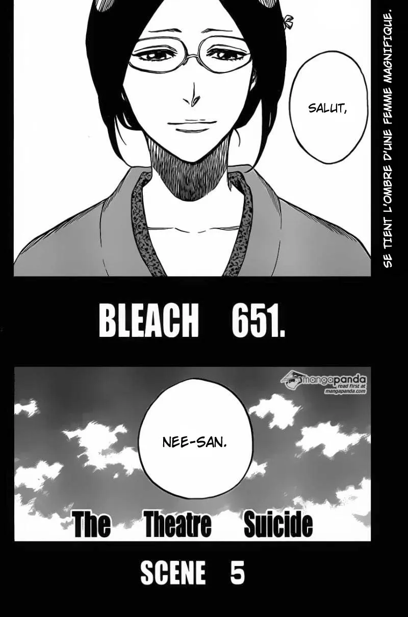 Bleach - 651 - 655153f1c78f9.webp