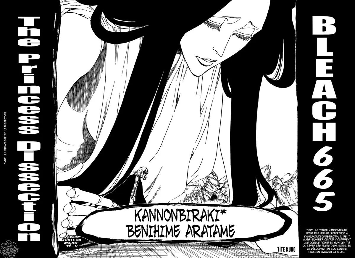 Bleach - 665 - 6551543adfbc5.webp