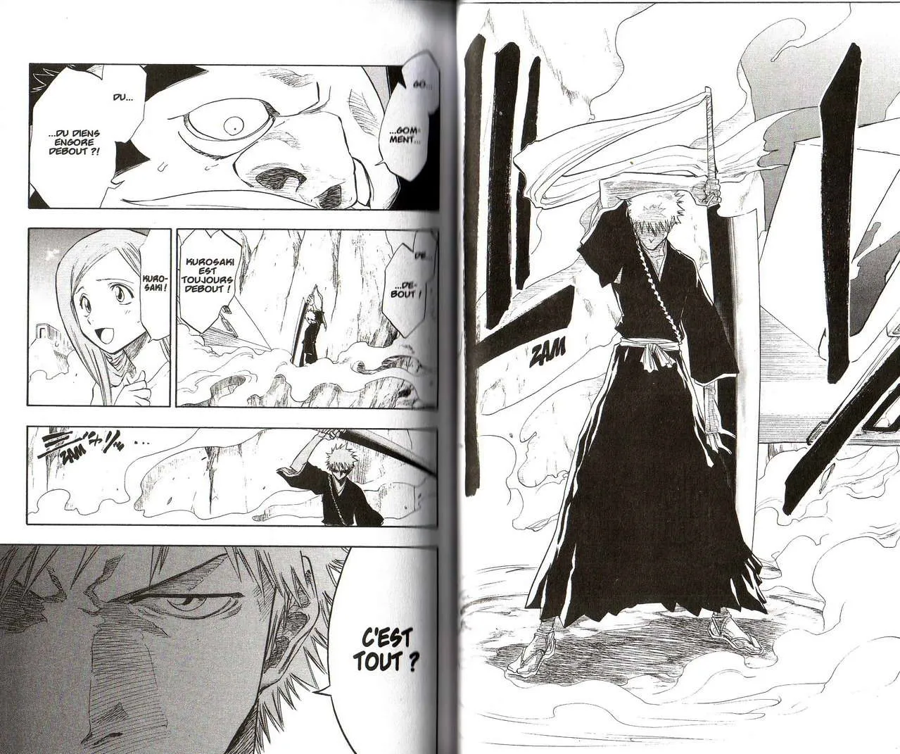 Bleach - 9 - 65515502b87ae.webp