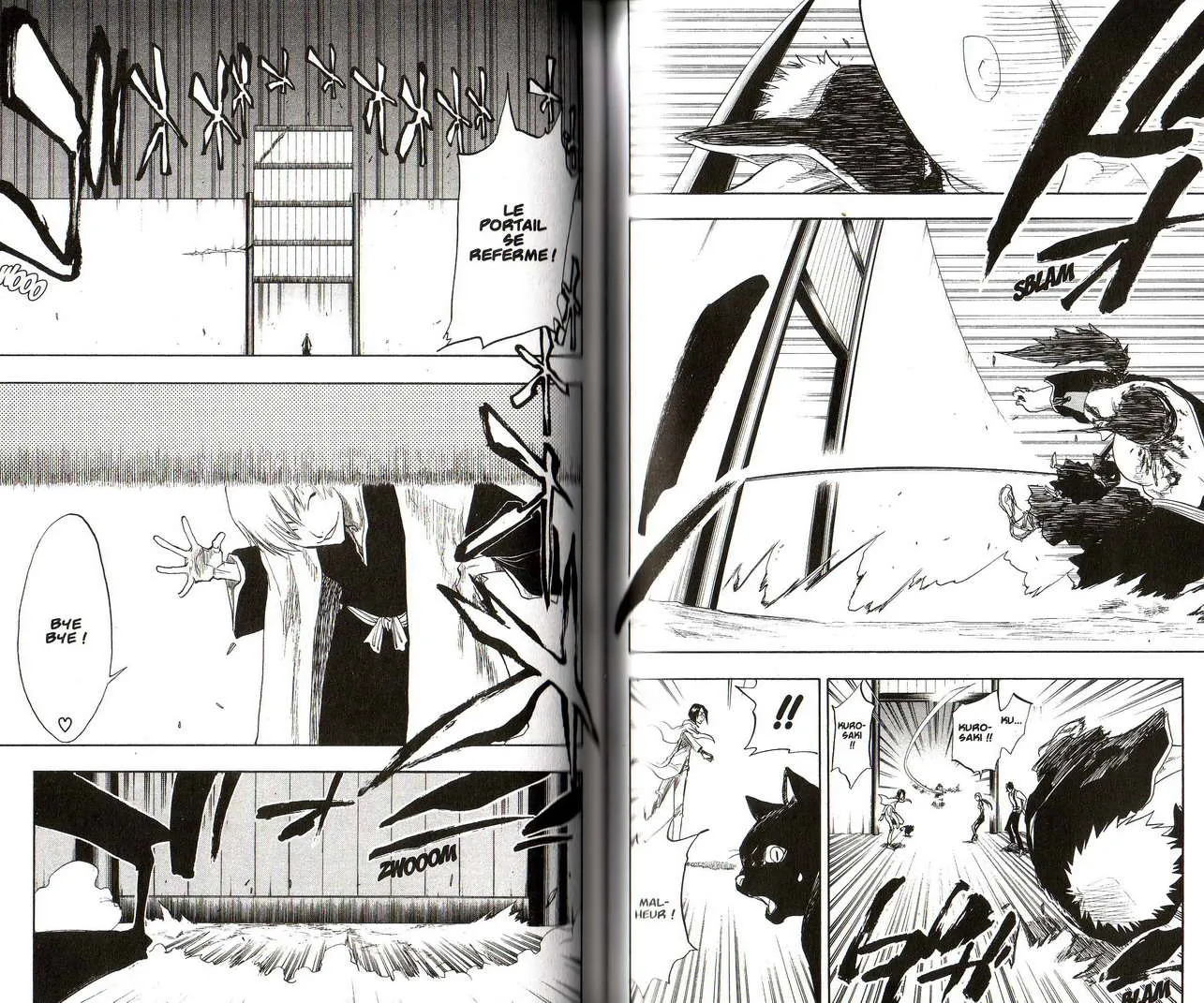 Bleach - 9 - 6551550888e4a.webp