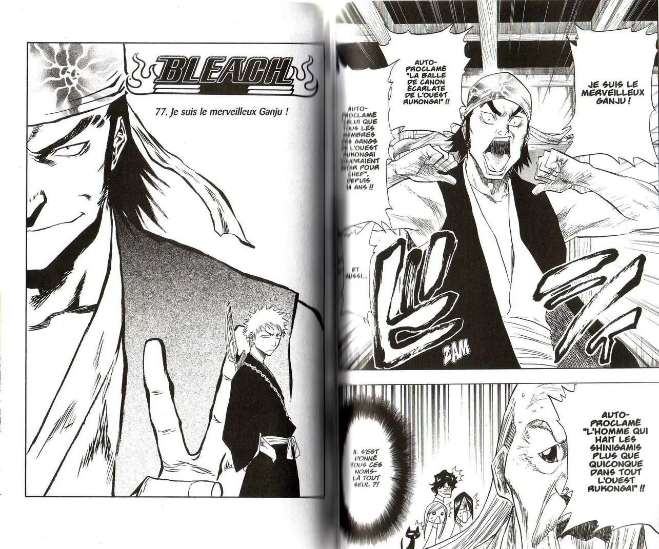 Bleach - 9 - 6551550bafe16.webp