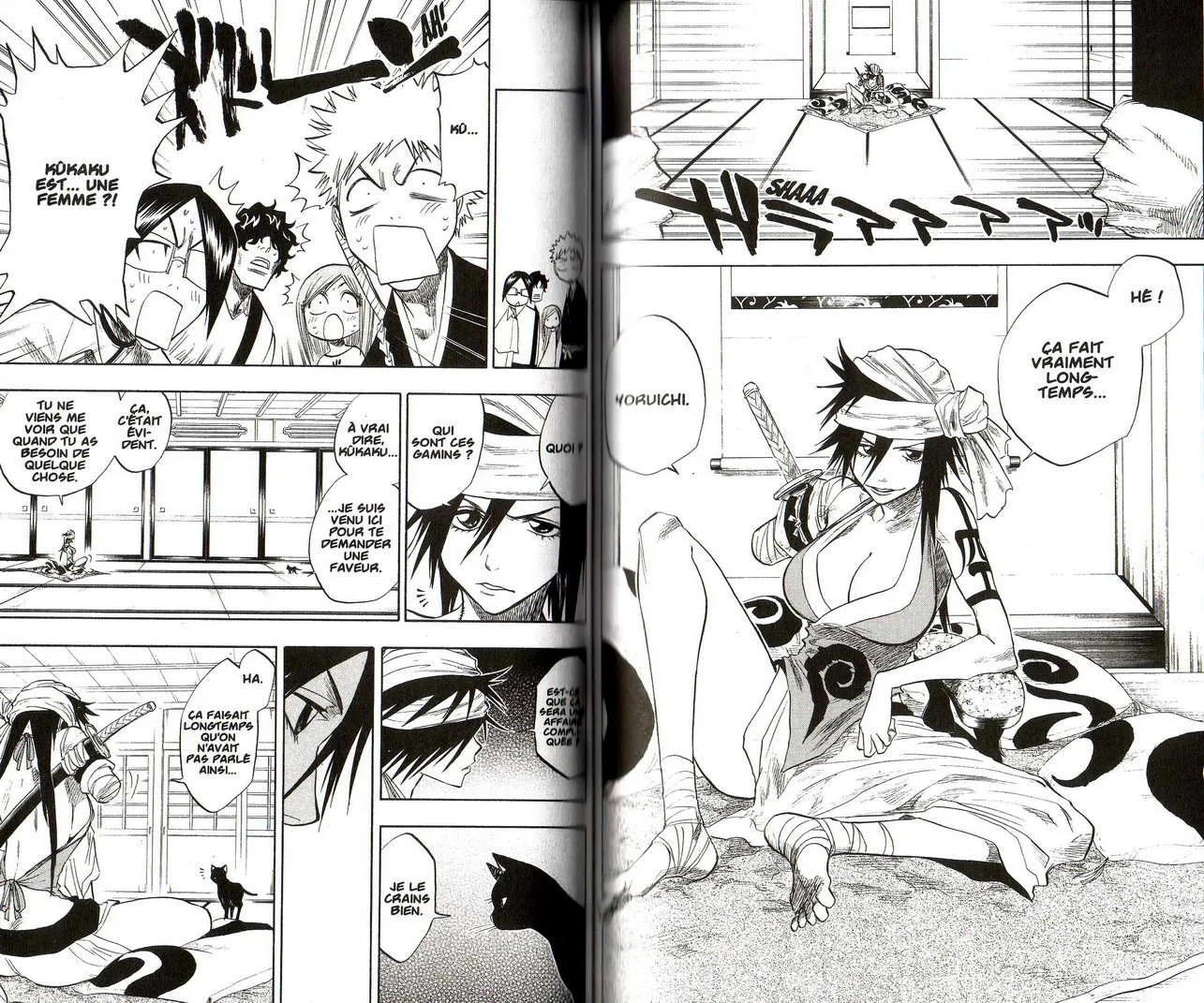 Bleach - 9 - 6551550fbf8e6.webp