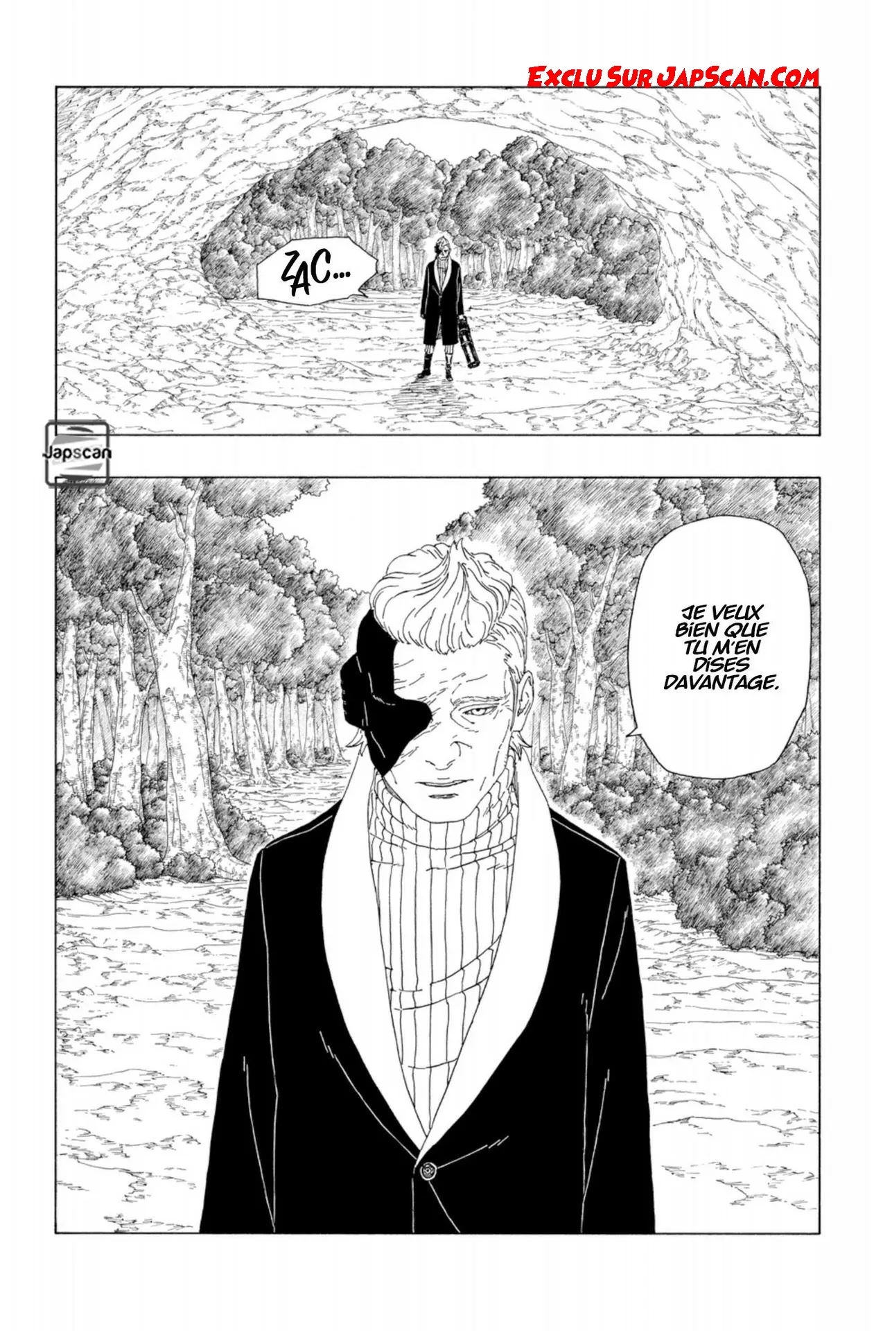 Boruto - 19 - 65ce930a70fe9.webp