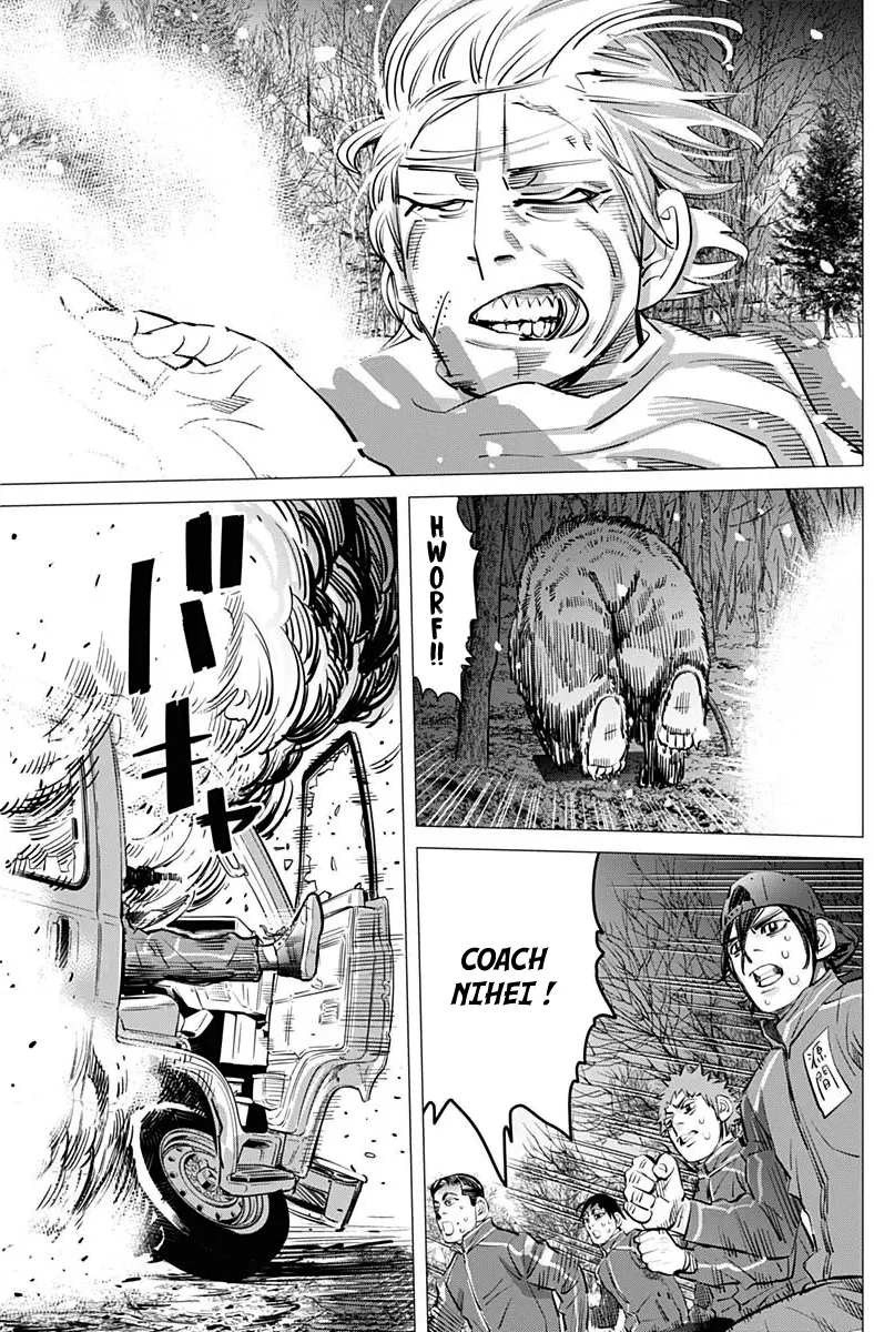 Dogsred - 23 - 67d084bc1e0bd.webp