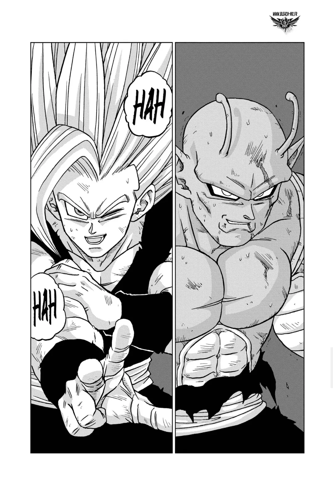 Dragon Ball Super - 100 - 65cfbc3f1b435_WuPd.webp
