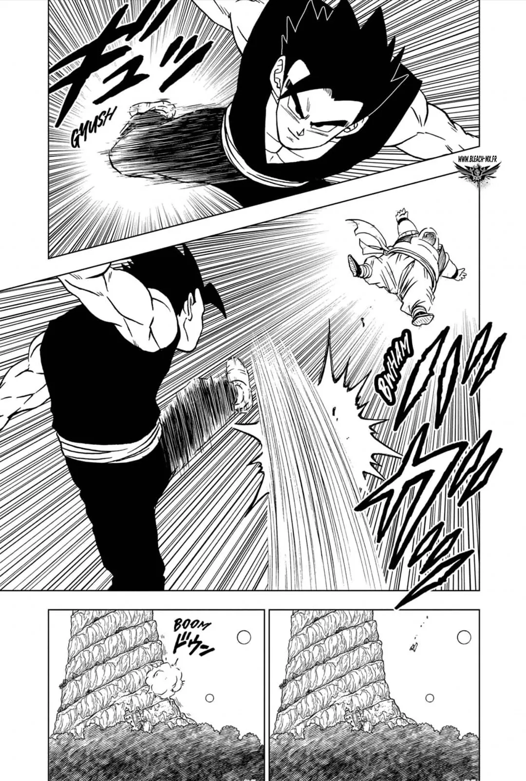 Dragon Ball Super - 102 - 65f718a06bae8_V770.webp
