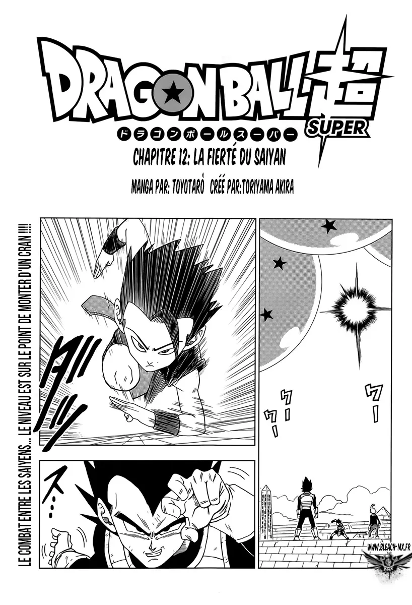 Dragon Ball Super - 12 - 65572cb6722de.webp
