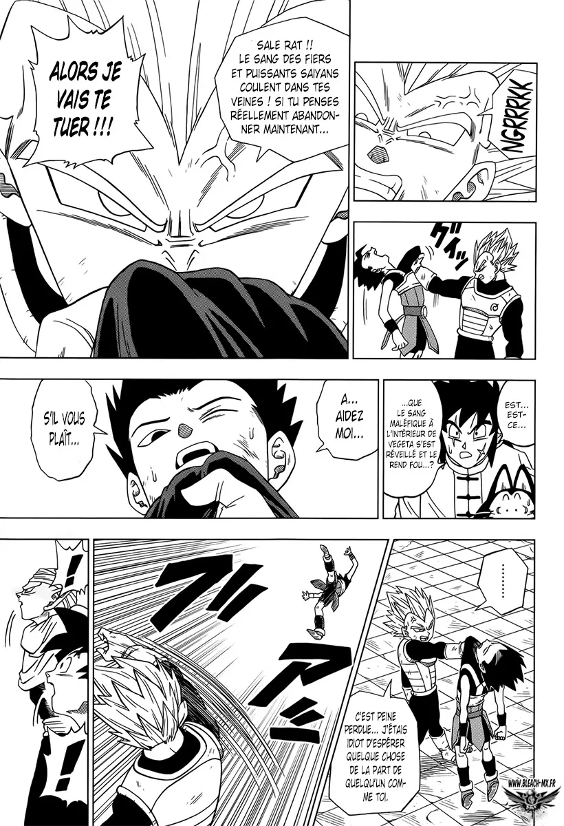 Dragon Ball Super - 12 - 65572cb842c00.webp