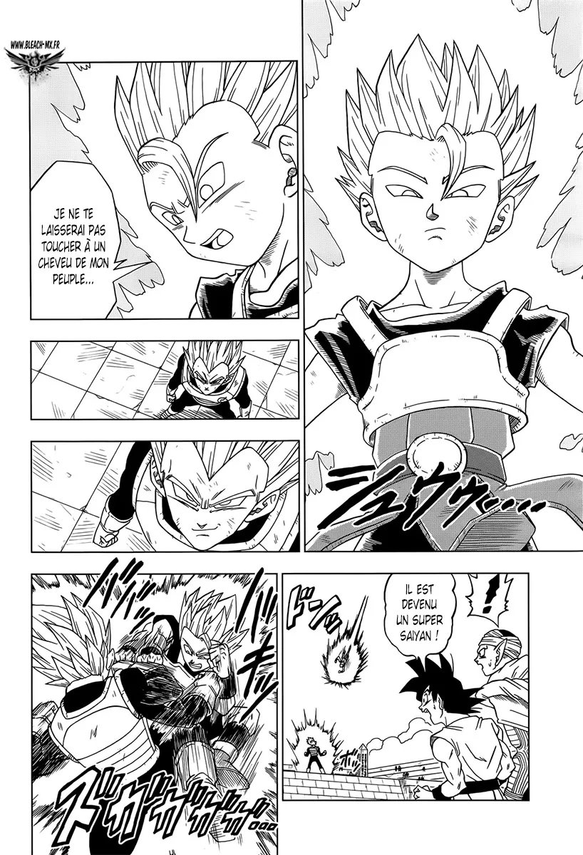 Dragon Ball Super - 12 - 65572cb90bc9d.webp