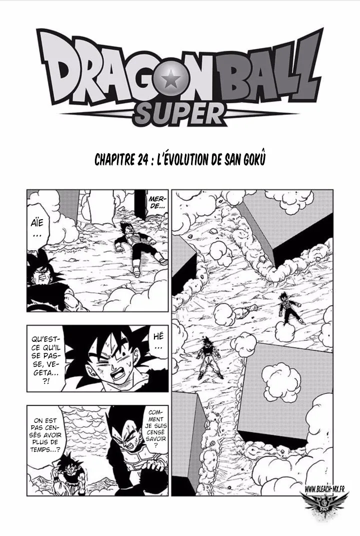 Dragon Ball Super - 24 - 65572d391e98a.webp