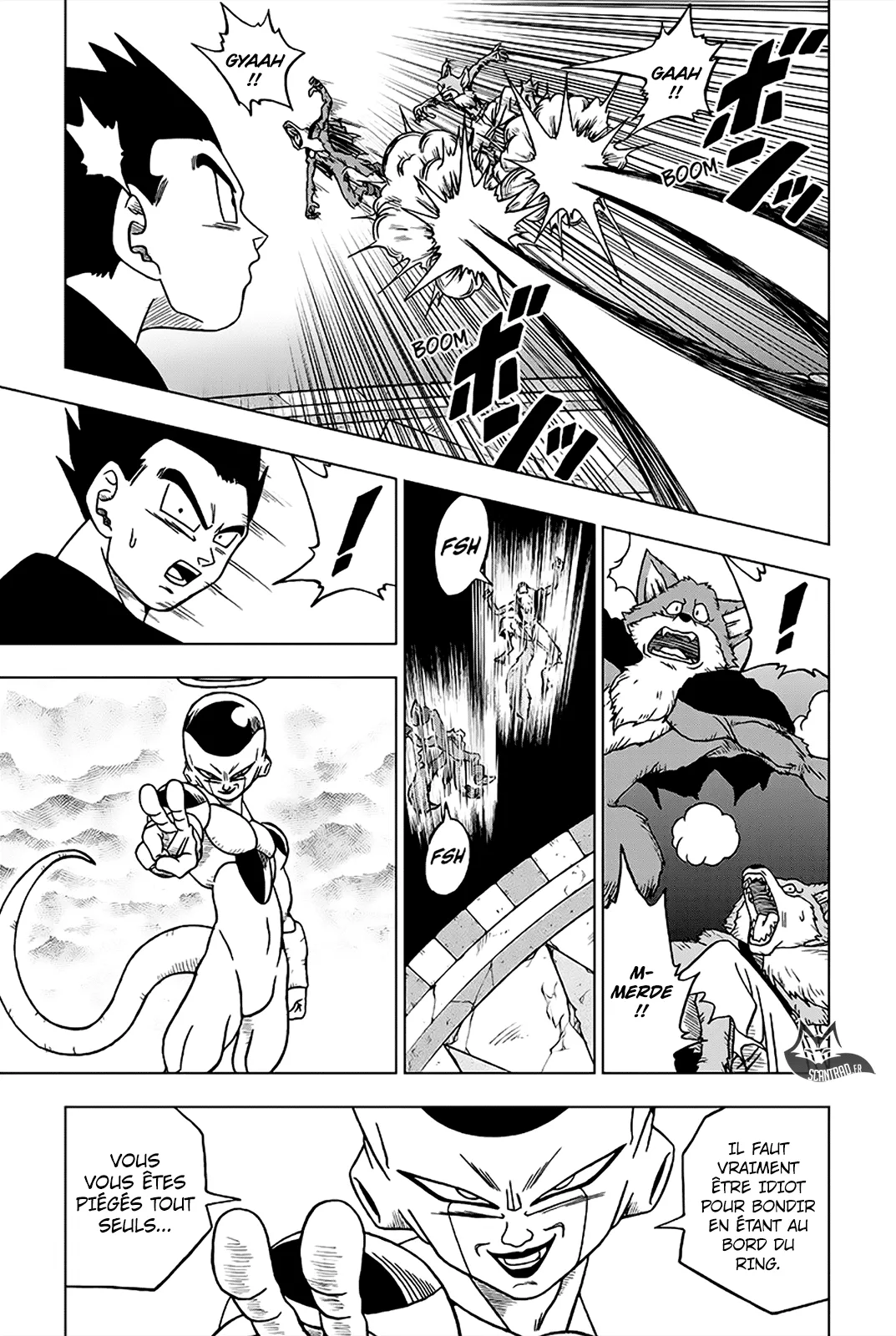 Dragon Ball Super - 34 - 65572db210536.webp