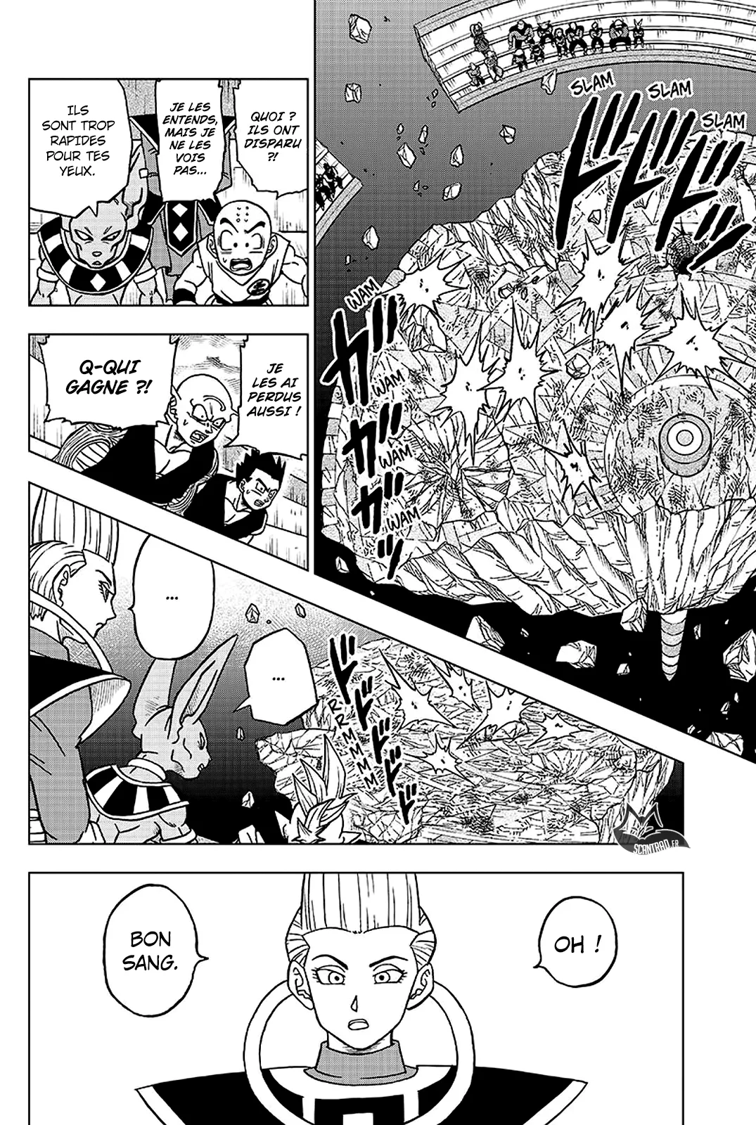 Dragon Ball Super - 41 - 65572e2637d88.webp