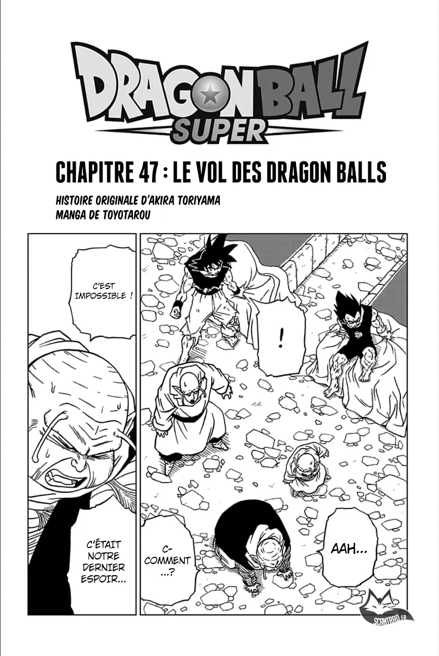 Dragon Ball Super - 47 - 65572e6478030.webp