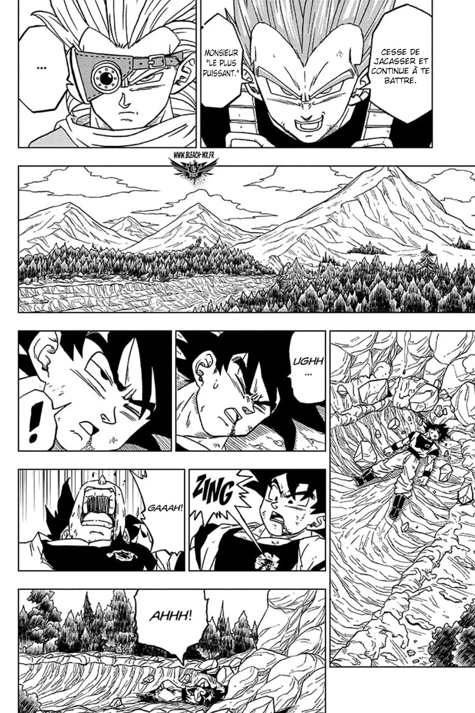 Dragon Ball Super - 74 - 65572f6b8a8c3.webp