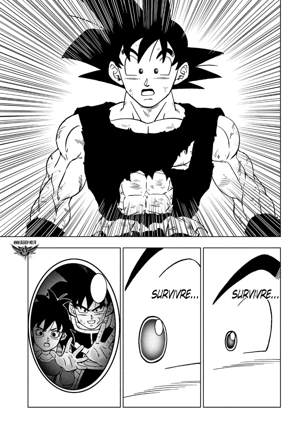 Dragon Ball Super - 82 - 65572fe7ec13c.webp