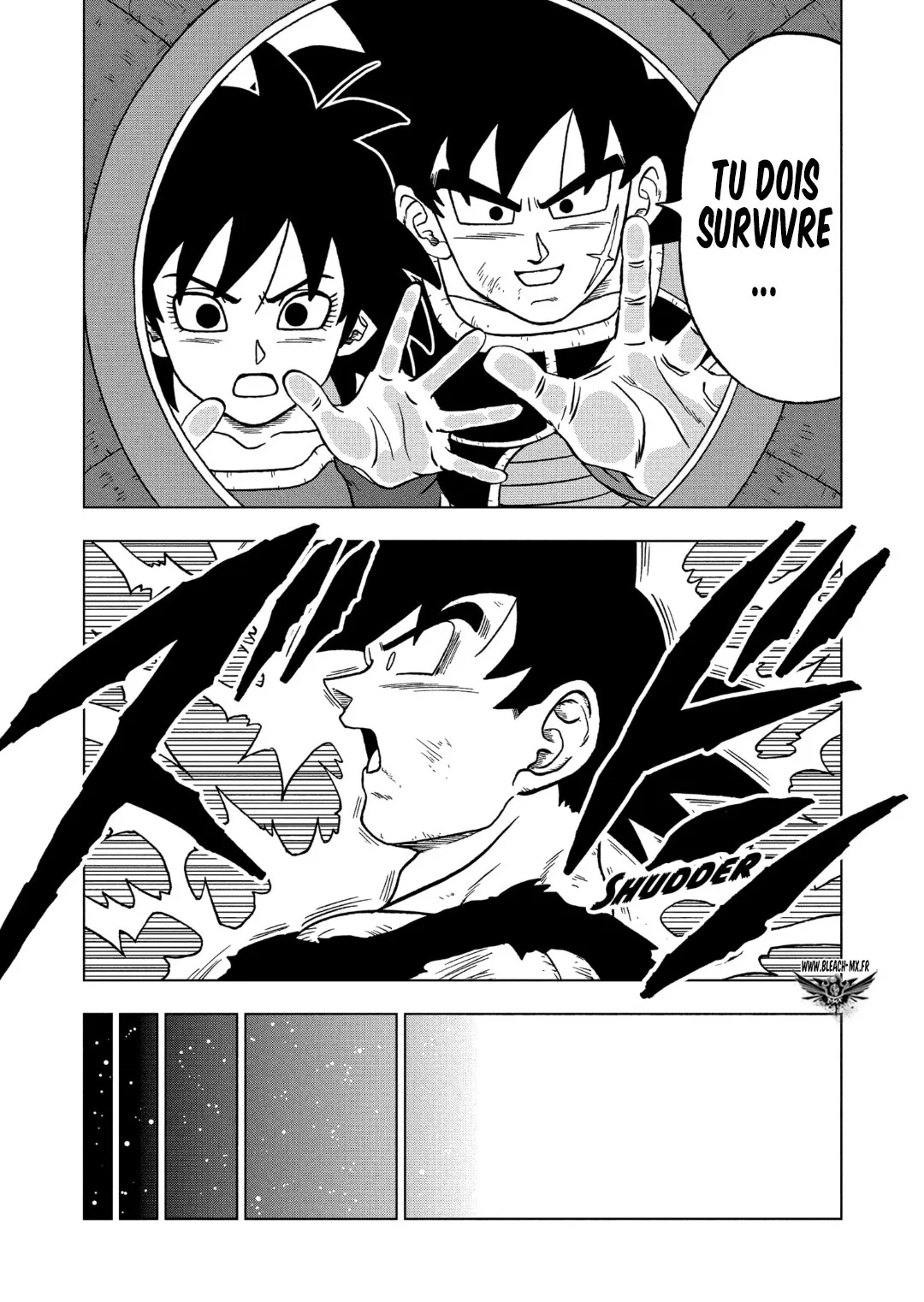 Dragon Ball Super - 82 - 65572fe833a18.webp