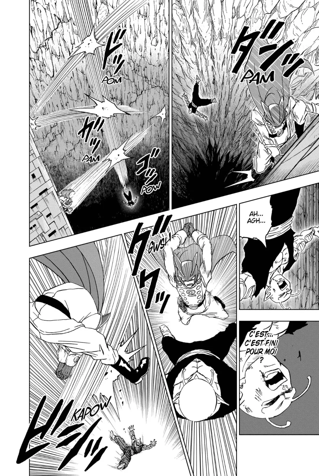 Dragon Ball Super - 95 - 655730af9a54a.webp