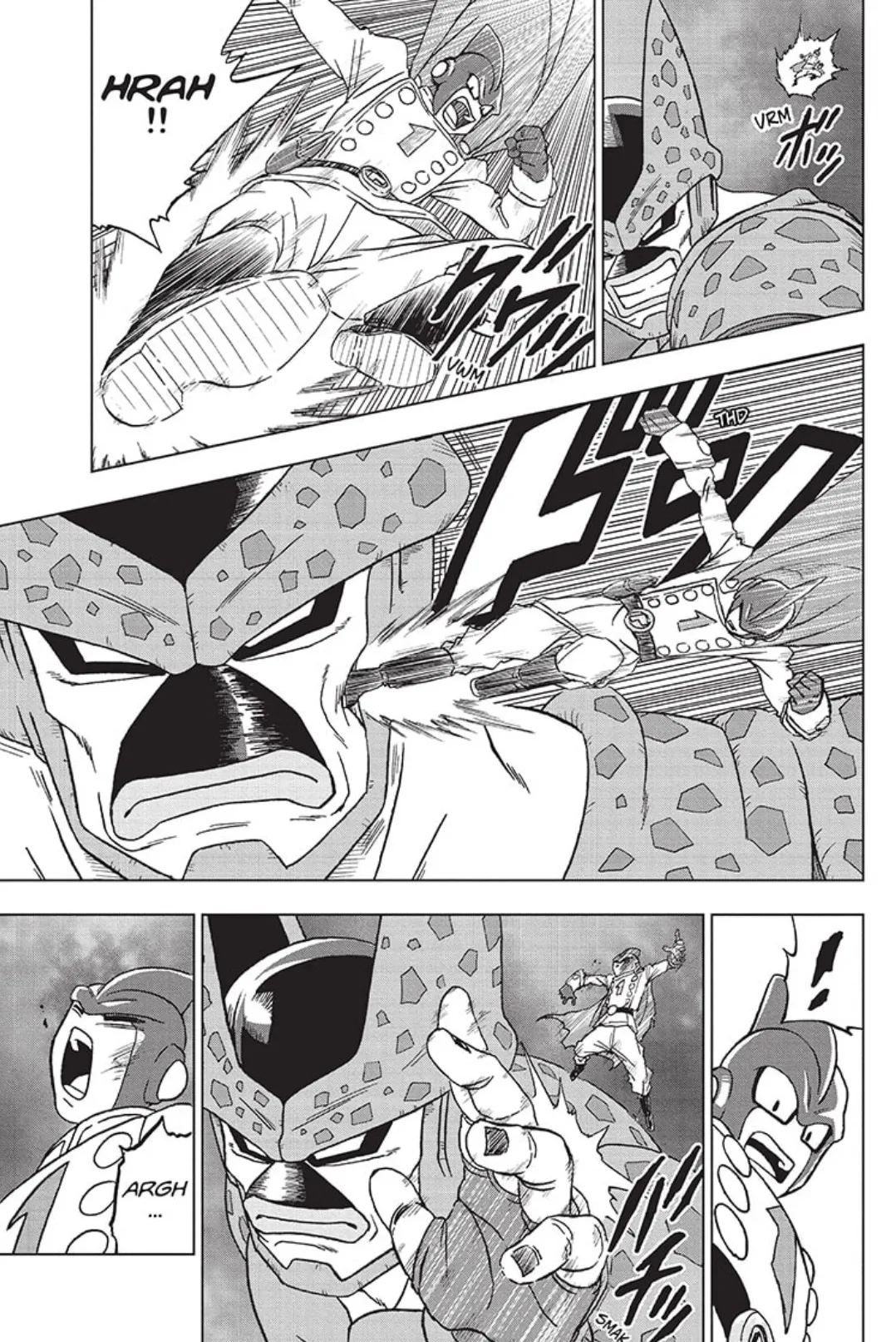 Dragon Ball Super - 96 - 655730c0400a8.webp