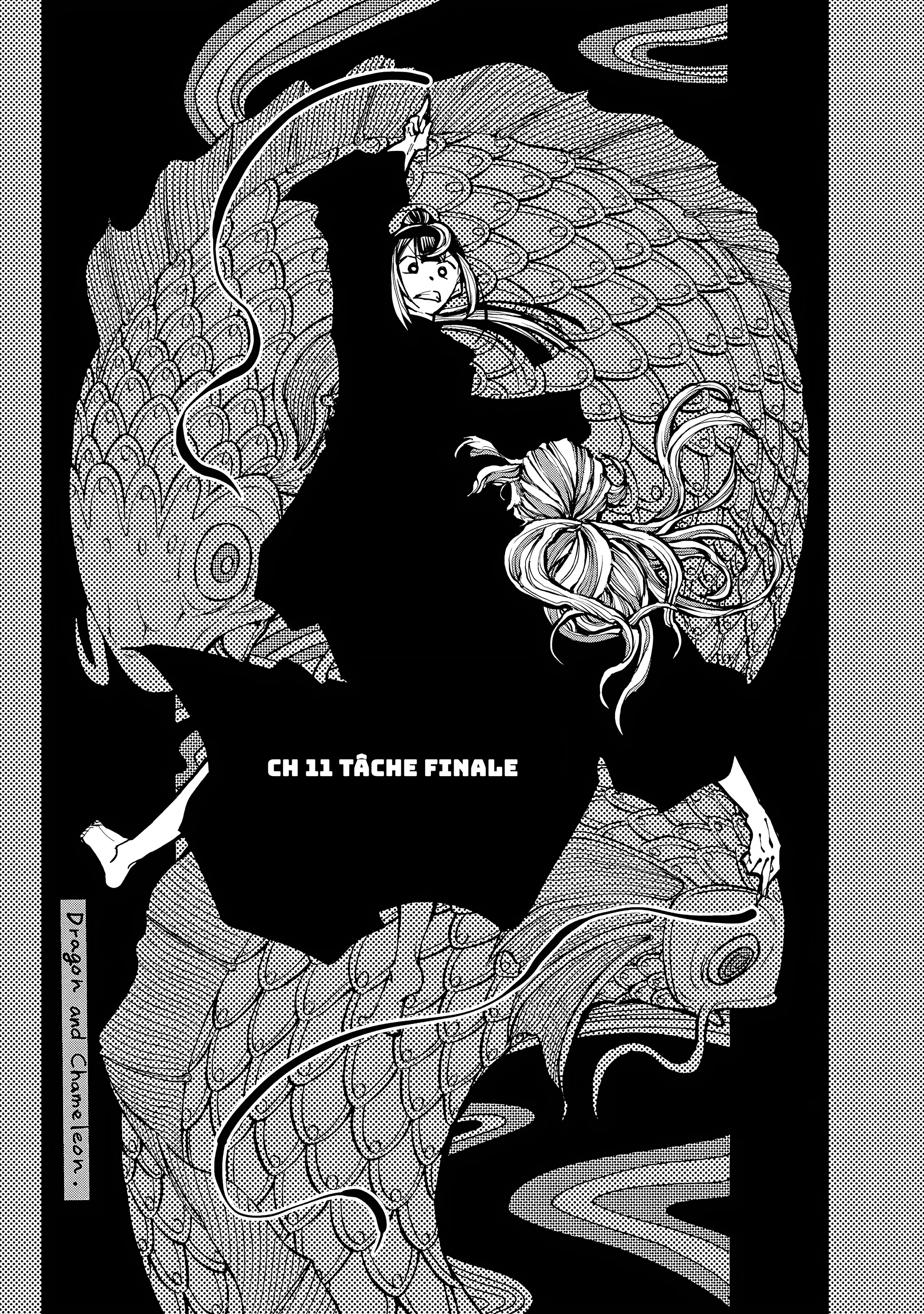 Dragon Et Caméléon - 11 - 67d4ba3310aee.webp