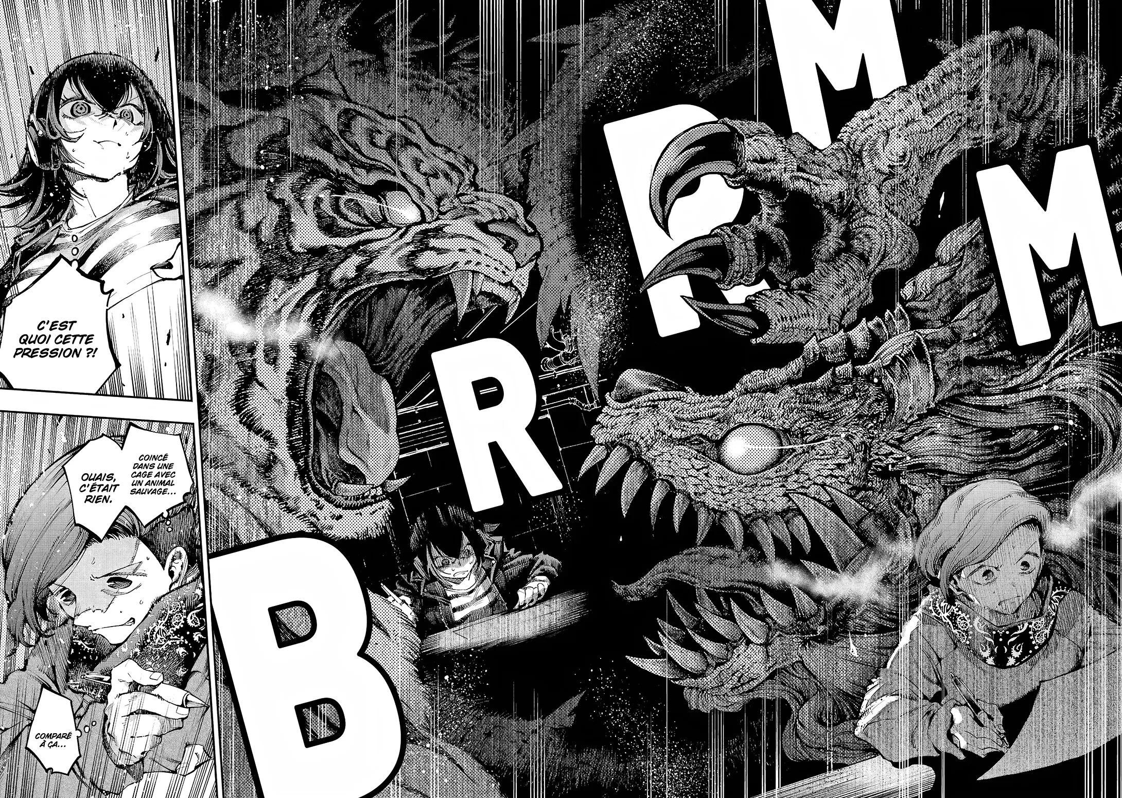 Dragon Et Caméléon - 12 - 67d4ba4a3e0a2.webp