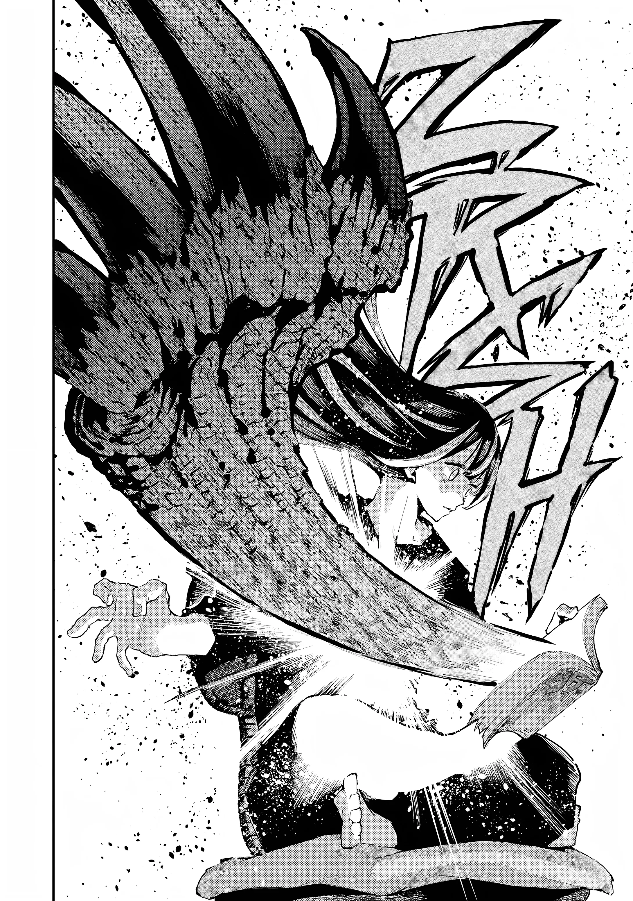 Dragon Et Caméléon - 2 - 67d4bb5b897c4.webp