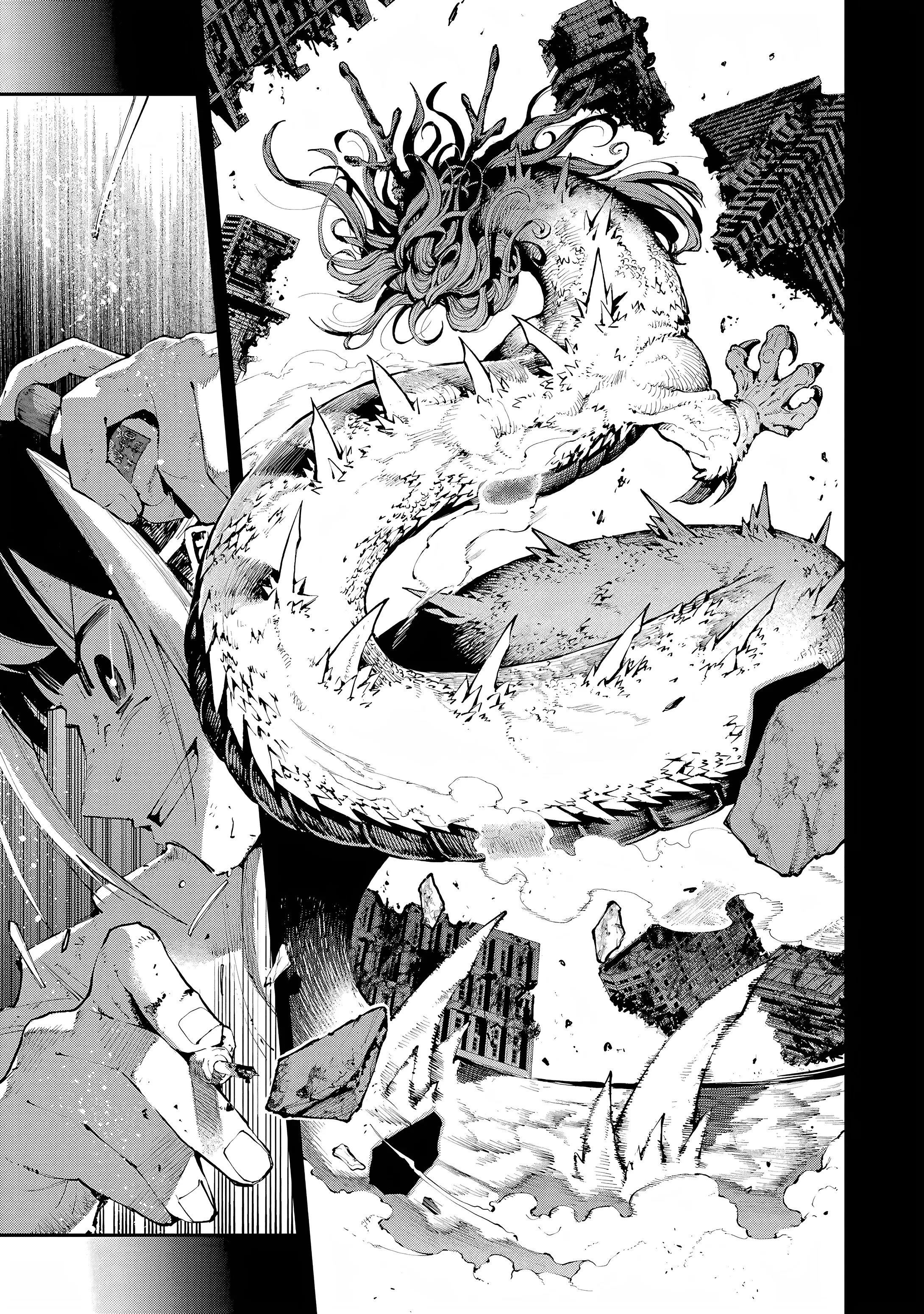 Dragon Et Caméléon - 4 - 67d4bb8699dde.webp