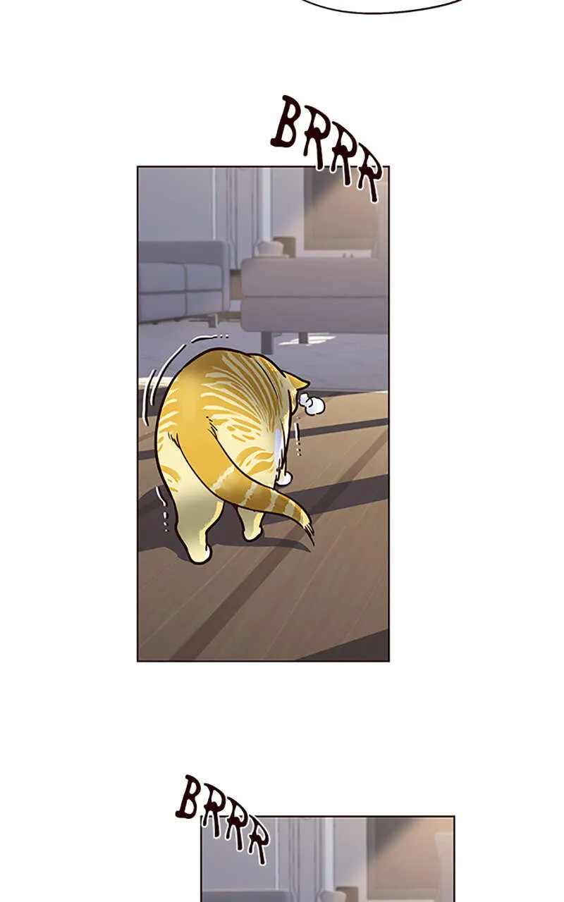 Eleceed - 11 - 65f0a33a15a9d.webp