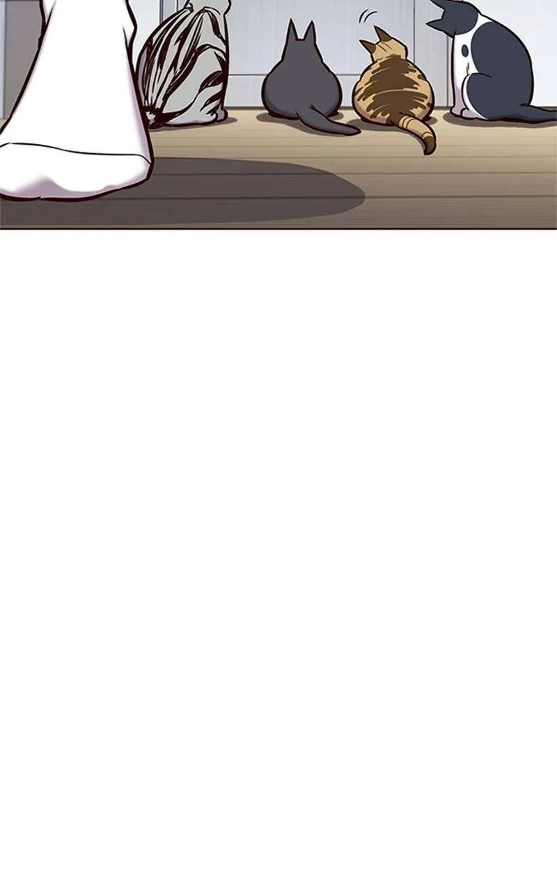 Eleceed - 119 - 65f0a3b94b8ed.webp