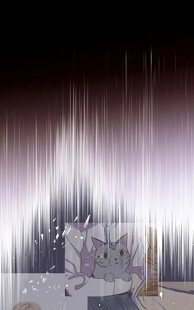 Eleceed - 12 - 65f0a3d48bb67.webp
