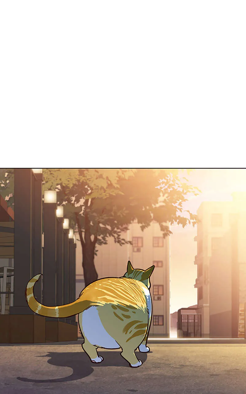 Eleceed - 13 - 65f0a3fcd7f55.webp