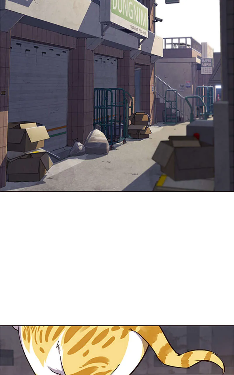 Eleceed - 19 - 65f0a5029fa82.webp