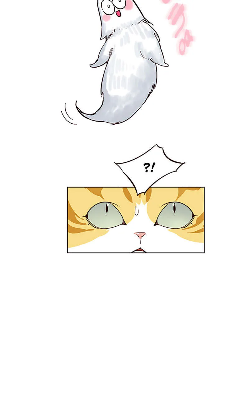 Eleceed - 2 - 65f0a50d861fe.webp